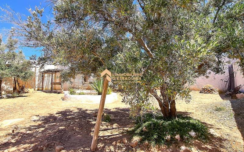 Bergerie Id Amer (14)